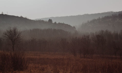 Scenic view of landscape against sky during foggy weather