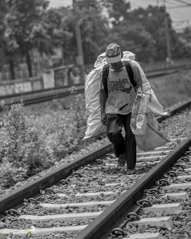 railroad track, rail transportation, lifestyles, casual clothing, full length, transportation, railing, leisure activity, public transportation, standing, tree, focus on foreground, day, men, rear view, travel, outdoors, walking