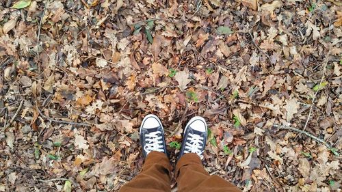 Low section of person standing on ground