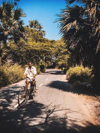 Shadow of man riding bicycle on tree