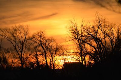 Silhouette bare trees against orange sky