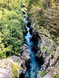 Scenic view of stream flowing through rocks in forest