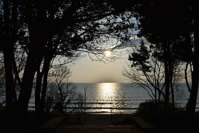 Silhouette trees by sea against sky during sunset