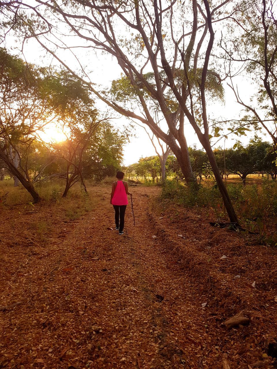 FULL LENGTH REAR VIEW OF WOMAN WALKING ON FIELD