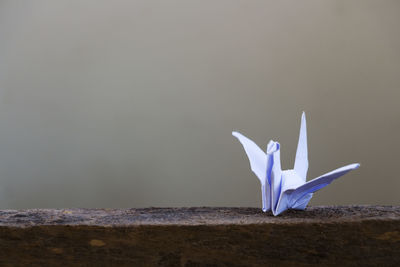 Close-up of origami swan on wooden fence against sky