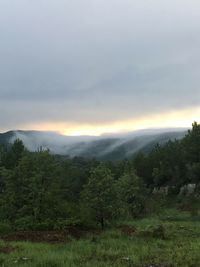 Scenic view of landscape against sky