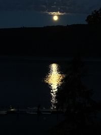 Firework display over lake against sky at night