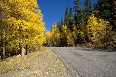 Road amidst trees against sky during autumn