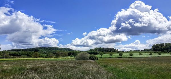 Panoramic view of agricultural field against sky