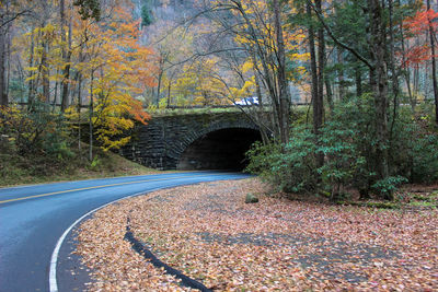 Road amidst trees in forest during autumn