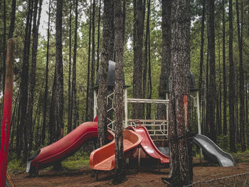 Playground in the middle forest