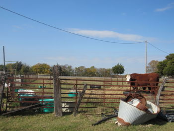 View of chairs on field against sky