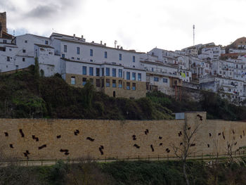 View of residential buildings