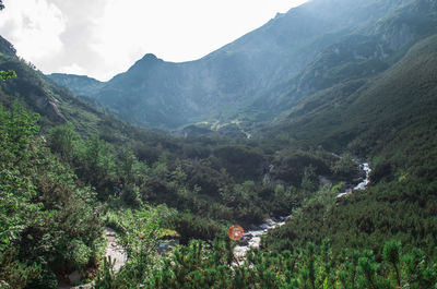 High angle view of trees and mountains against sky