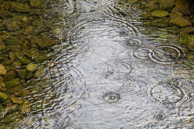 Full frame shot of raindrops on water