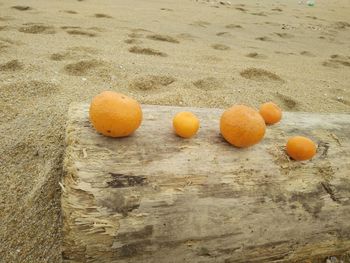 Close-up of orange fruits on sand