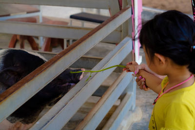 Girl in traditional clothing