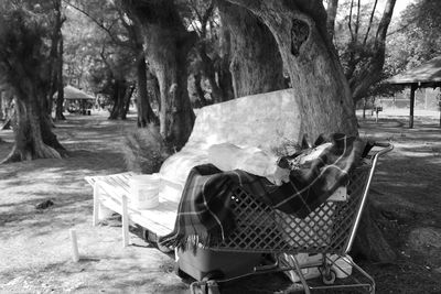 Empty bench in park