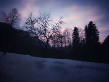 Silhouette bare trees against sky during winter