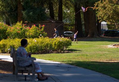 Rear view of girls sitting on tree