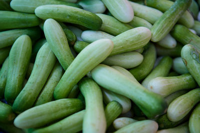Pile of fresh cucumber