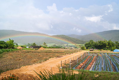 Scenic view of rainbow against mountains