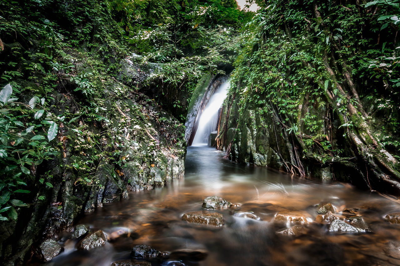 Kokedokwaterfall