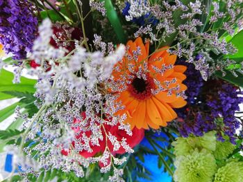 Close-up of orange flowers blooming outdoors