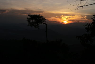 Silhouette trees against sky during sunset