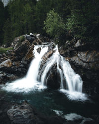 Scenic view of waterfall in forest