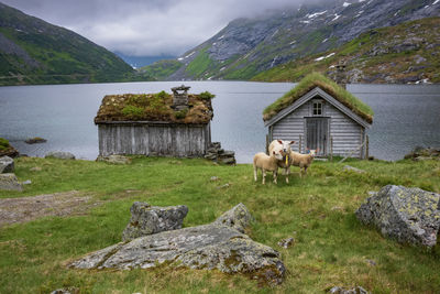 Scenic view of field against mountain