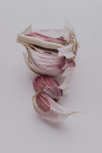 Close-up of pink roses over white background