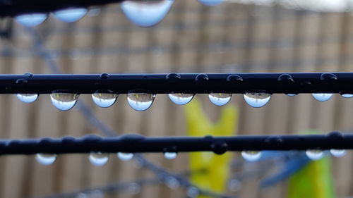 Close-up of water drops on leaf