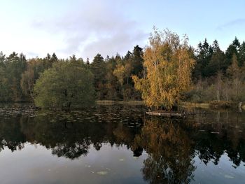 Reflection of trees in lake against sky