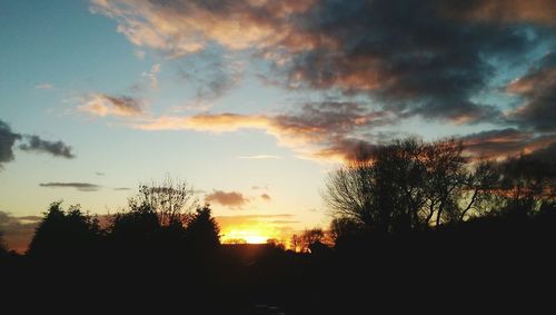 Silhouette of trees at sunset