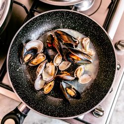 High angle view of shells in plate