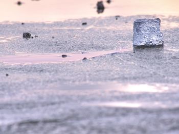 Close-up of ice on beach