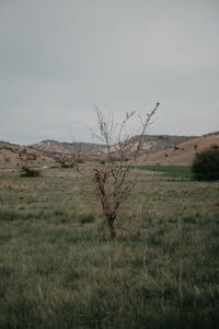 Scenic view of land against sky