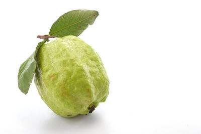 Close-up of lemon slice over white background