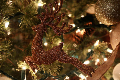 Close-up of christmas tree