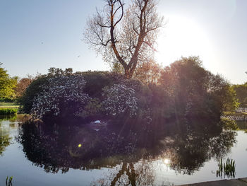 Reflection of trees in lake against sky