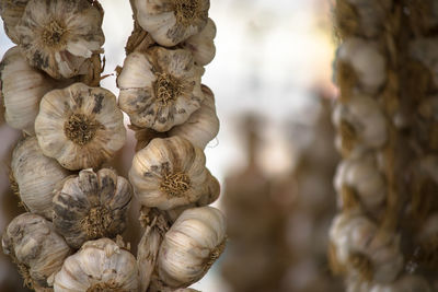 Garlic braid hangs on a croatian market stall.