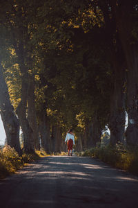 Rear view of woman standing on road amidst trees