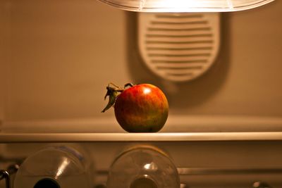 Close-up of apple on shelf in refrigerator