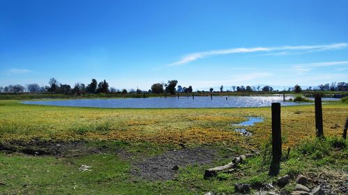 Scenic view of field against sky