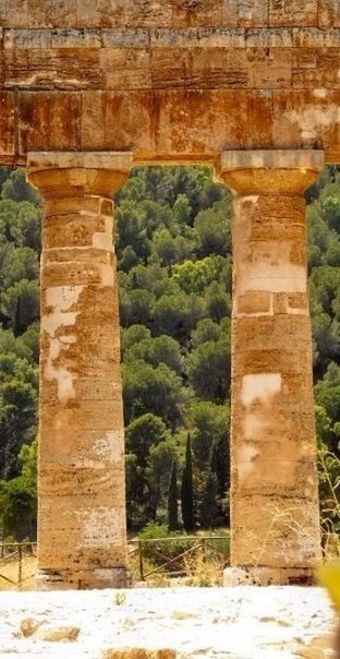 architecture, built structure, tree, green color, architectural column, history, growth, building exterior, day, outdoors, no people, nature, arch, plant, column, sunlight, old, travel destinations, the past, tree trunk