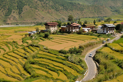 High angle view of houses by agricultural field