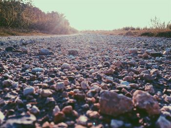 Close-up of pebbles in water