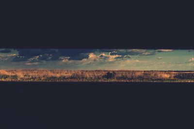 View of trees against sky