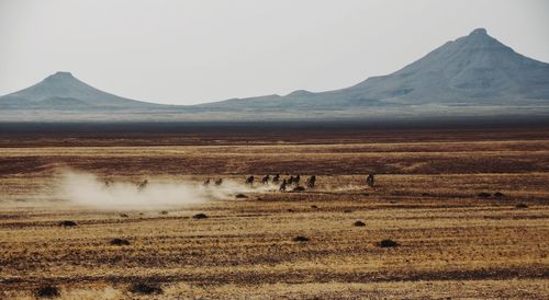 View of a desert